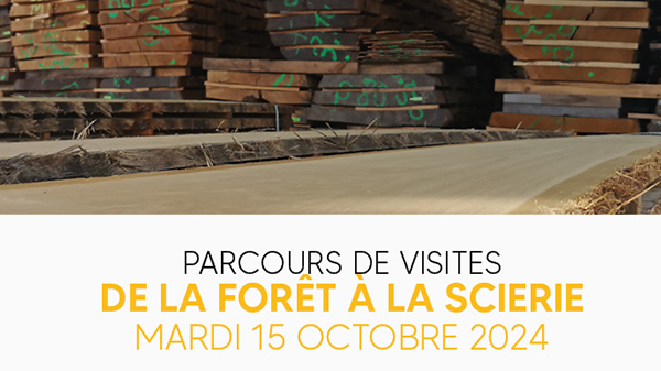 Parcours visites forêt scierie 15 octobre