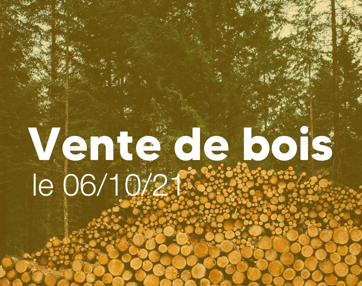 vente-de-bois-lamotte-beuvron-6-octobre-2021